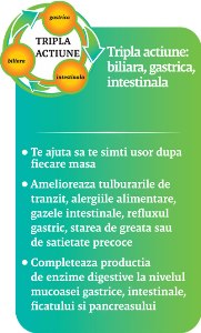 SUPER ENZYMES1