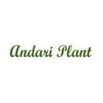 Producator ANDARI PLANT