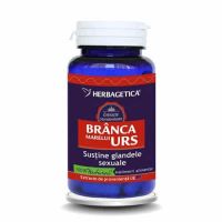 ​Branca Marelui Urs 60 capsule Herbagetica.